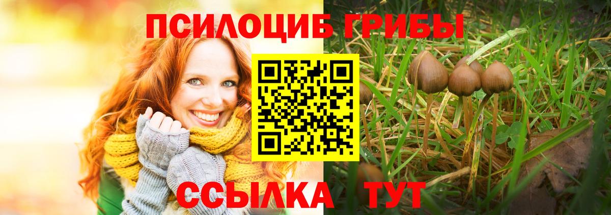 Псилоцибиновые грибы Cubensis  Псилоцибиновые грибы мухоморы  Мирный  Вход с VPN 